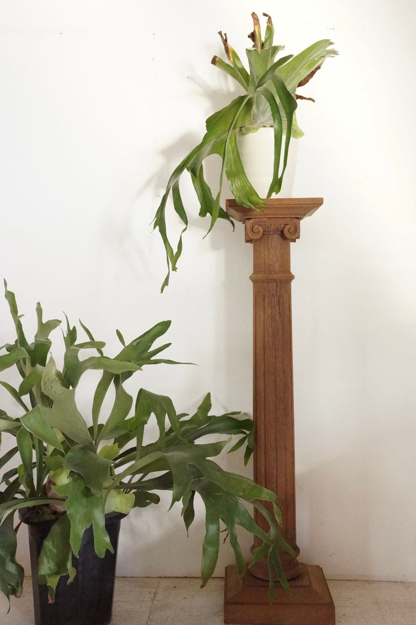 Display Stand
