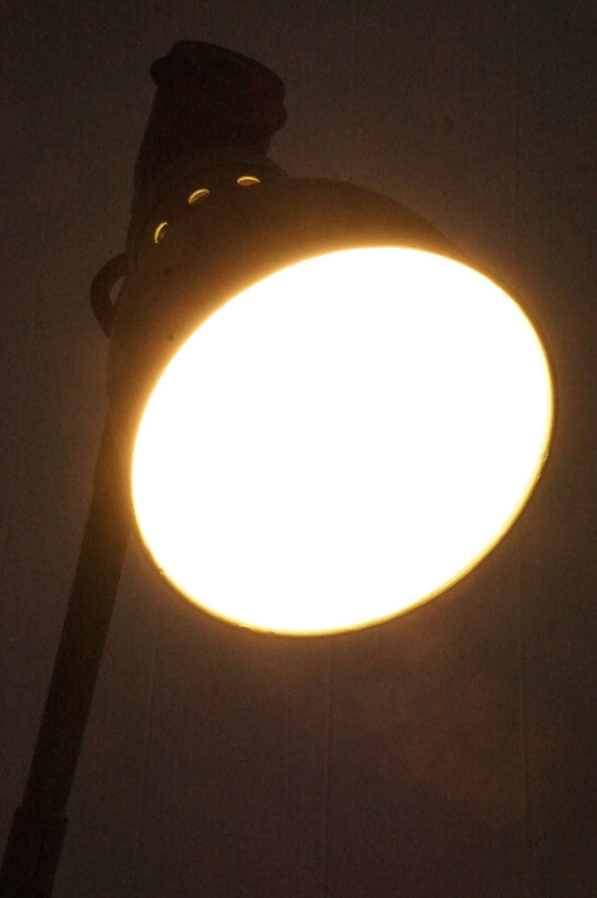 Clip Lamp / Rademacher