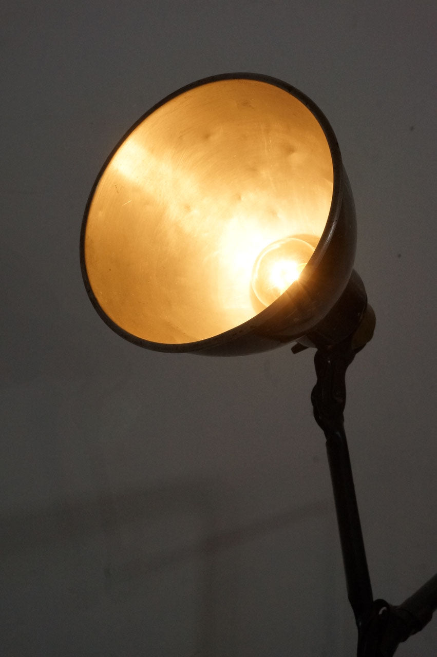 Clip Lamp / Gras N403