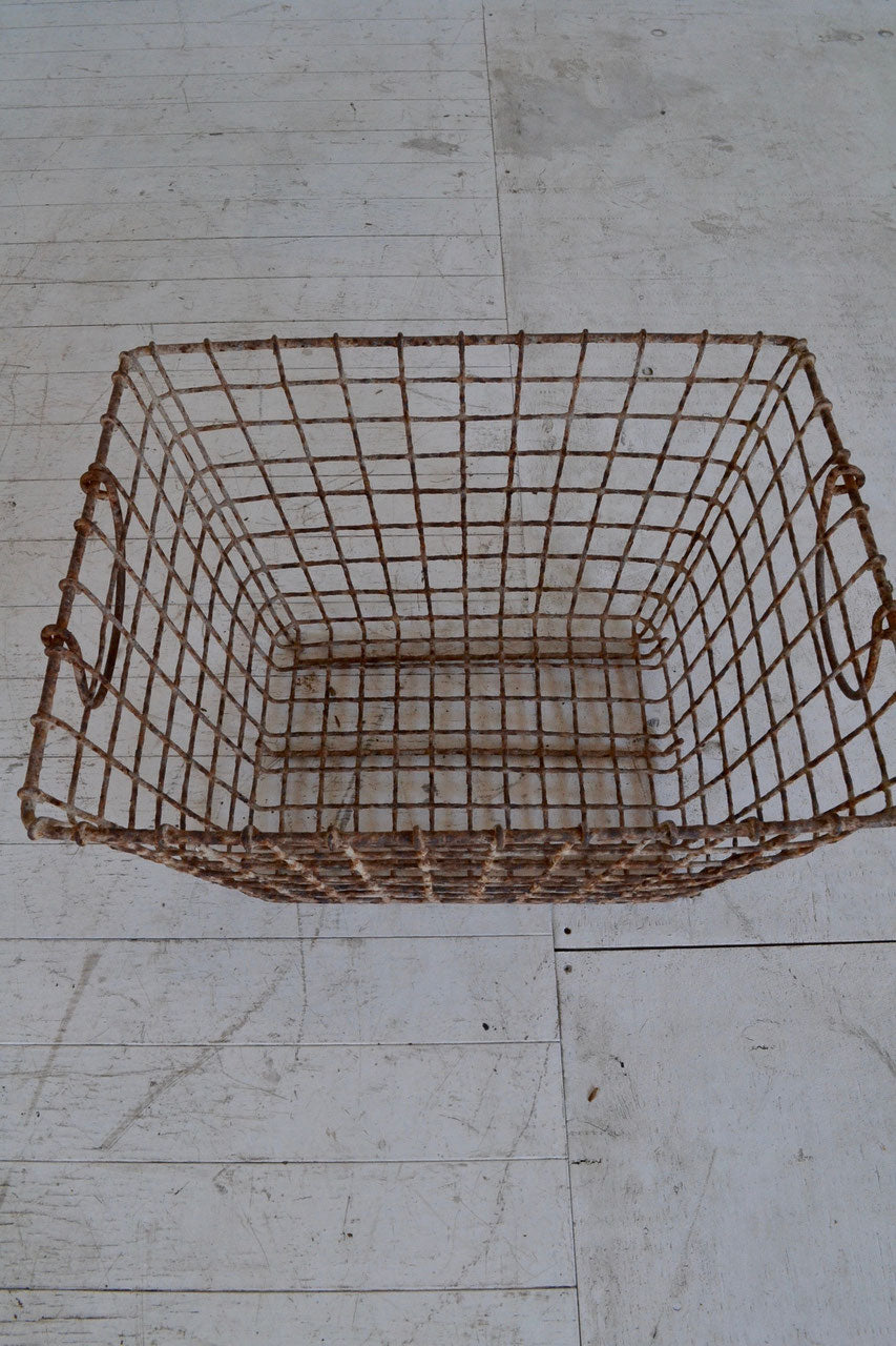 Oyster basket