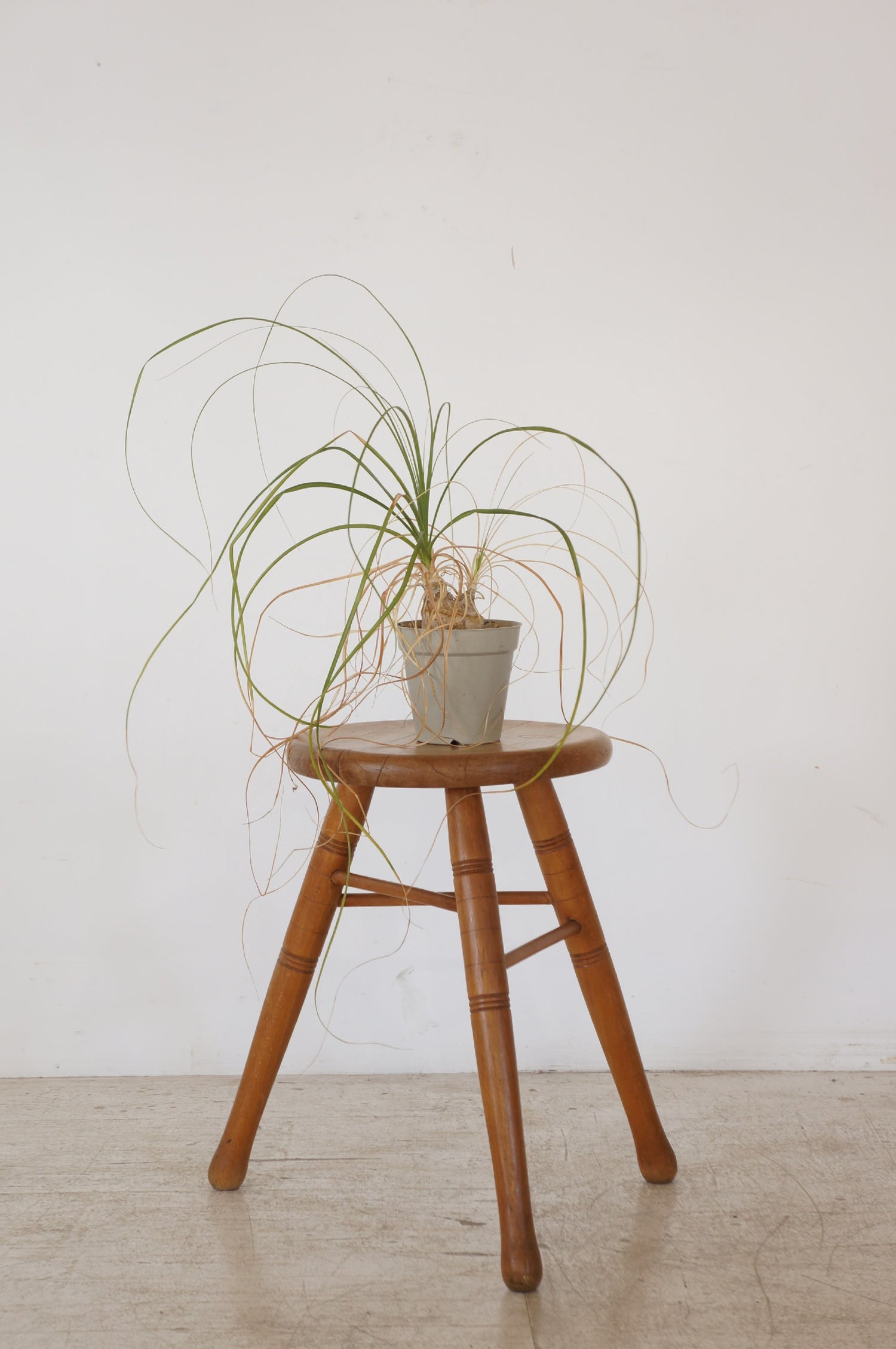 Stool