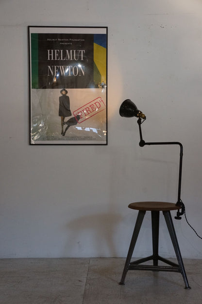 Clip Lamp / Gras  N403