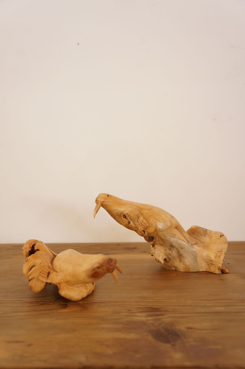 Object(set)